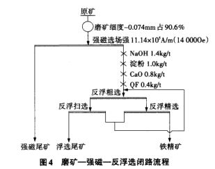 磨礦—強(qiáng)磁選—反浮選工藝